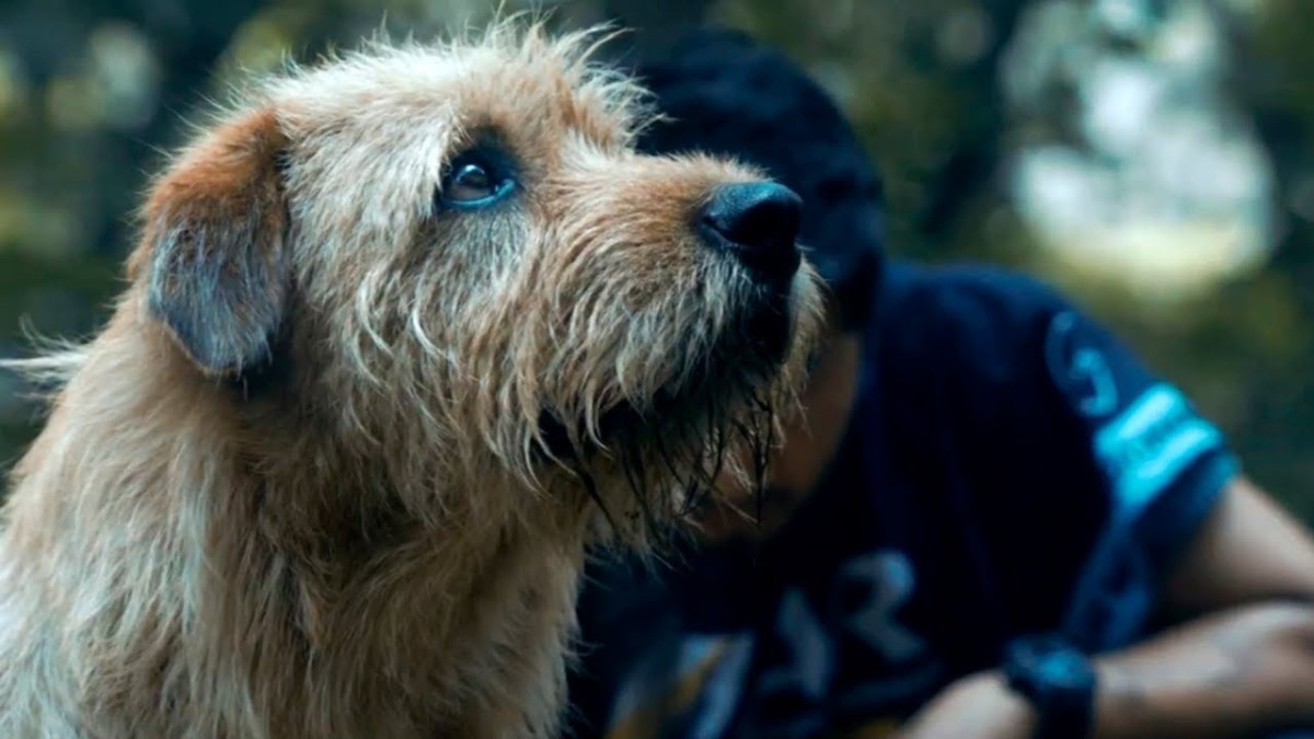 ESTRENO CINÉPOLIS: Arthur: Una Amistad Sin Límites